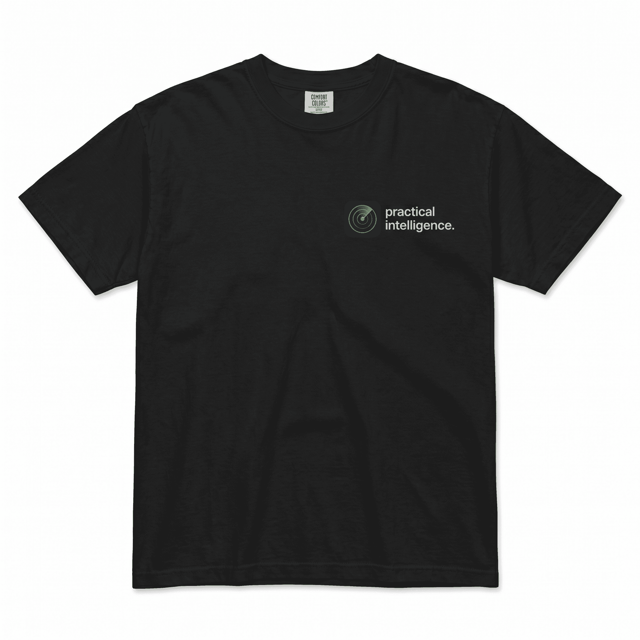 Comfort Colors Heavy Tee — “practical intelligence.”
